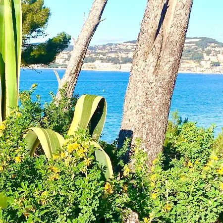 La A 5 Minutes A Pied, Calme Et Verdure Sanary-sur-Mer