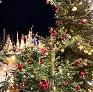 Lejlighed La Plage, Calme Et Jardin Sanary-sur-Mer